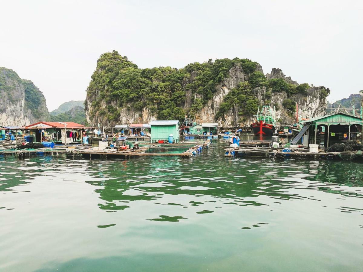 Heritage Line Ylang Cruise - Halong Bay & Lan Ha Bay Ha Long Eksteriør billede